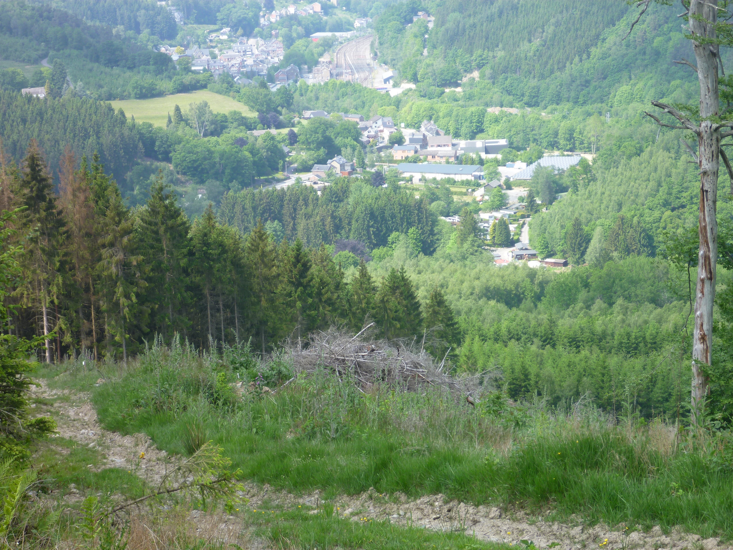2014HWK 083.jpg